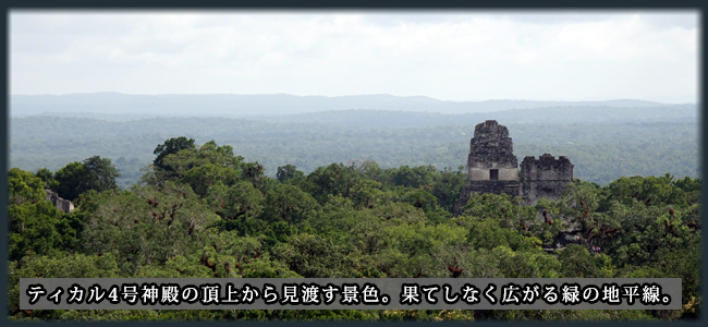 ティカル4号神殿の頂上から見渡す景色。果てしなく広がる緑の地平線。